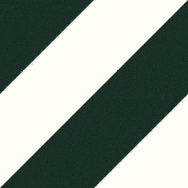 Плитка CERAMICA DESEO ZEBRA 223x223x9